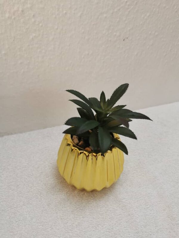 Mini Golden Potted Plant